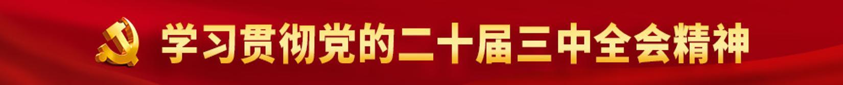 二十届三中全会